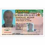 FAKE FLORIDA DRIVER'S LICENSE FOR SALE