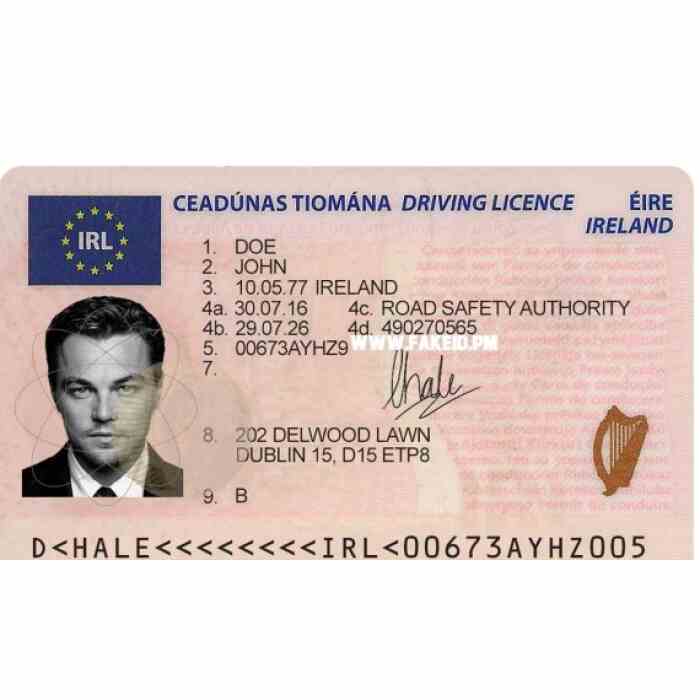 IRISH DRIVER’S LICENSE